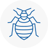 Bed Bug Extermination In Yaxley